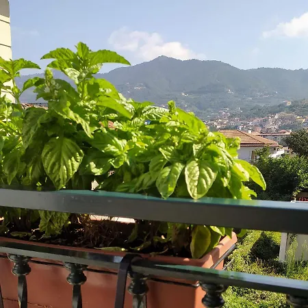 La Corte Del Campo Cava De' Tirreni