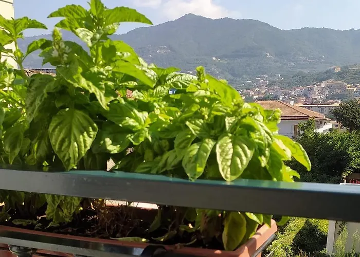 La Corte Del Campo Cava deʼ Tirreni